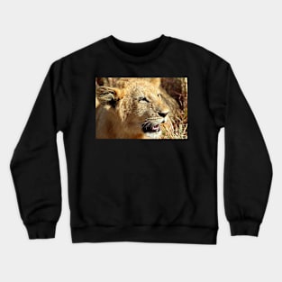 Closeup Lion Cub, Maasai Mara, Kenya Crewneck Sweatshirt